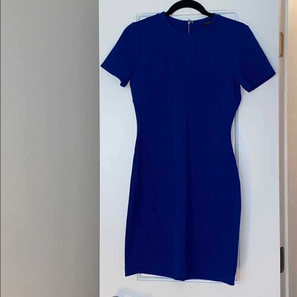 Express Blue Fitted Dress